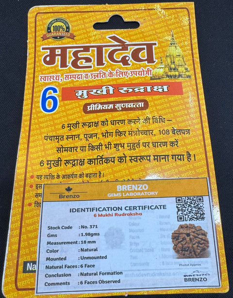 6 Mukhi Original and certified Rudraksh , Description and certificate attach( barcode can be scanned to check the certificate)