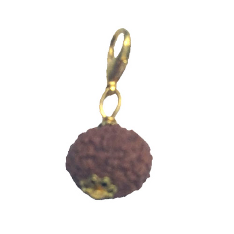 8 Mukhi Original and certified Rudraksh , Description and certificate attach