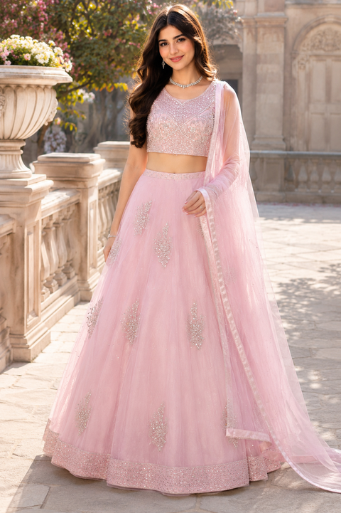 Heavy hand work designer stylish Blouse with very very heavy flared netting princess style lehnga and dupatta