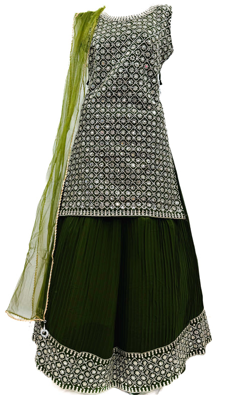 Georgette based handwork with Stones design beautiful flared Kameez with georgette Sharara and netting dupatta