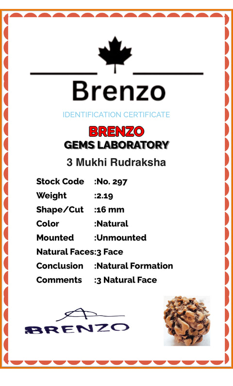 3 Mukhi Original and certified Rudraksh , Description and certificate attach( barcode can be scanned to check the certificate)