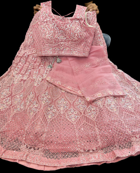 Heavy hand work designer stylish Blouse with very very heavy flared netting based  princess style lehnga and dupatta