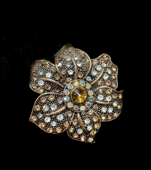 Stones studded Fancy Brooch