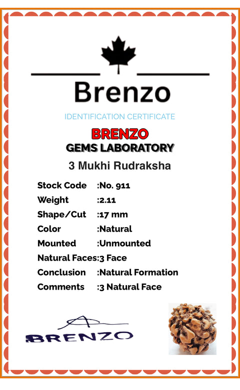 3 Mukhi Original and certified Rudraksh , Description and certificate attach( barcode can be scanned to check the certificate)