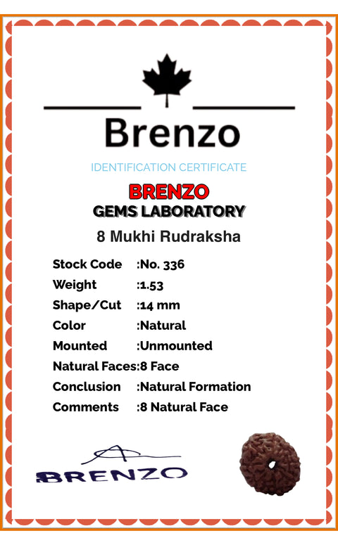 8 Mukhi Original and certified Rudraksh , Description and certificate attach( barcode can be scanned to check the certificate)
