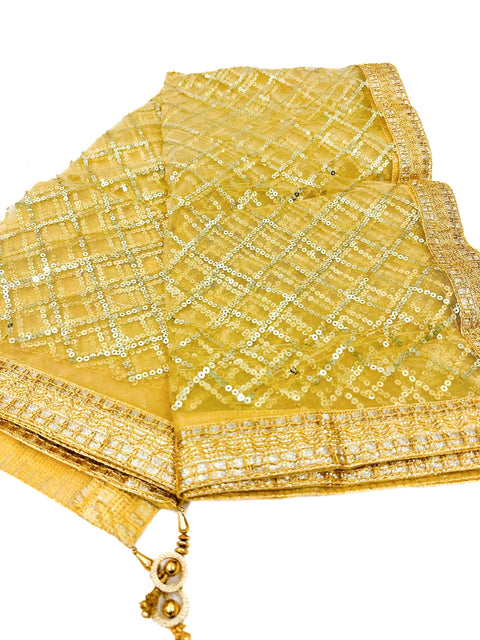 Netting based stone work with Tessels attach Dupatta