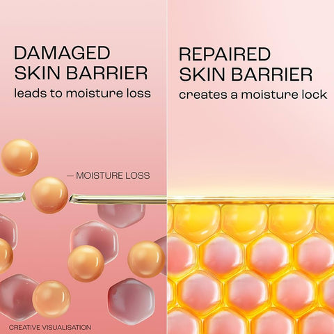 Lakmé Peach Milk Creme MoisturizerIntense Hydration | For Dry, Normal & Sensitive 100 g