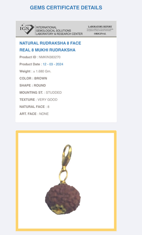 8 Mukhi Original and certified Rudraksh , Description and certificate attach