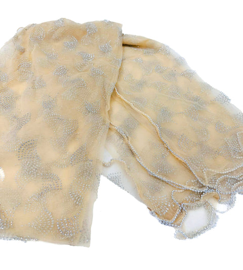 Netting based stone work with beaded lace attach Dupatta