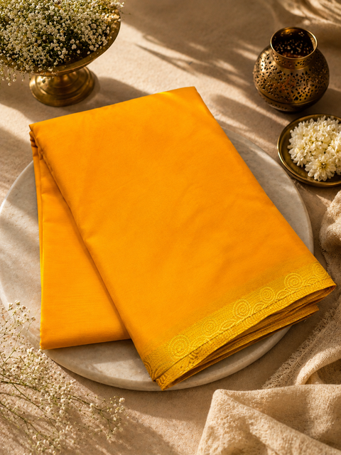 Pure Georgette based zari border work all on borders