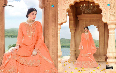 Peach colour georgette based all over embroidered & mirror work