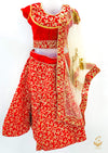 Red colour velvet based heavy embroidery all over on lehnga & blouse with golden netting dupatta with velvet border
